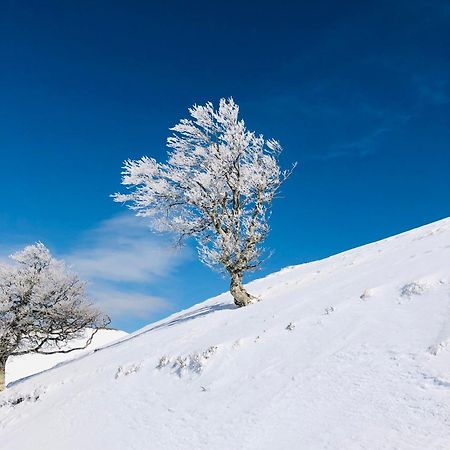 Gite Botiga Saint-Jean-le-Vieux  Dış mekan fotoğraf