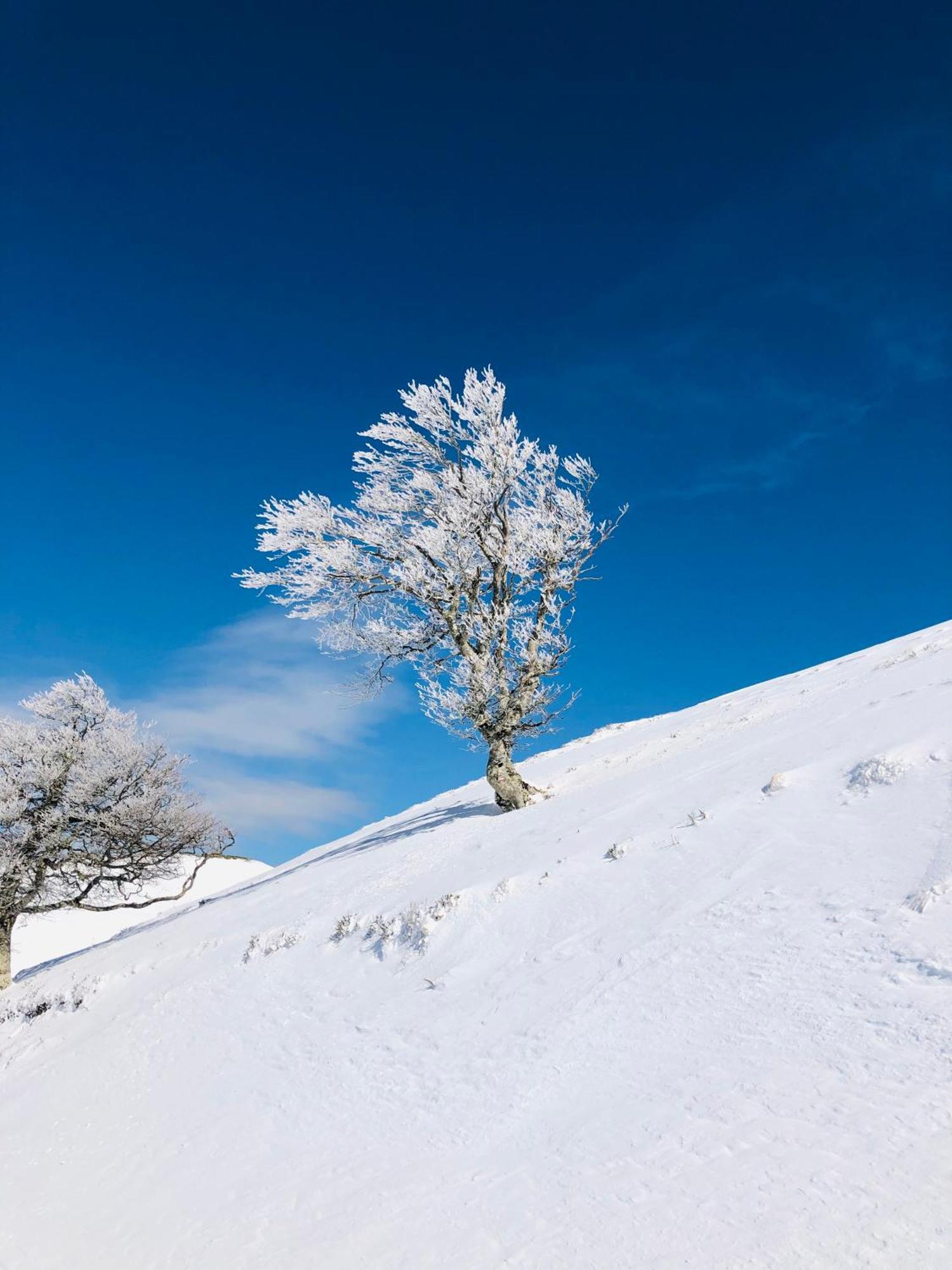 Gite Botiga Saint-Jean-le-Vieux  Dış mekan fotoğraf