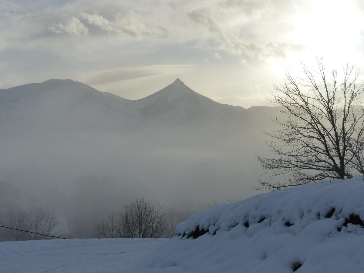 Gite Botiga Saint-Jean-le-Vieux  Dış mekan fotoğraf