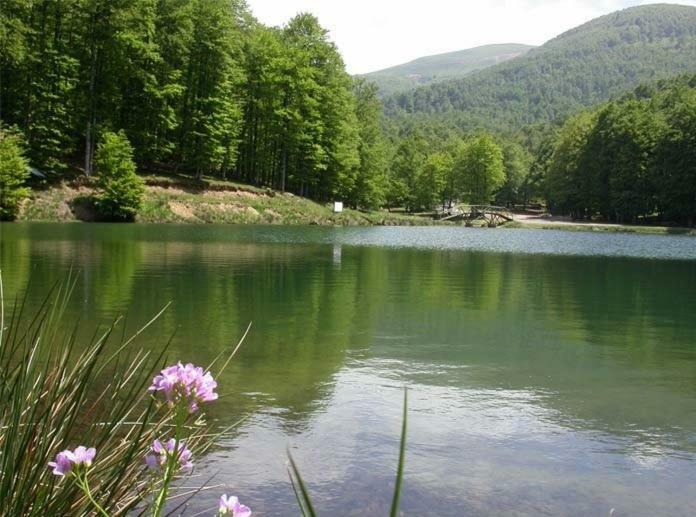 Gite Botiga Saint-Jean-le-Vieux  Dış mekan fotoğraf